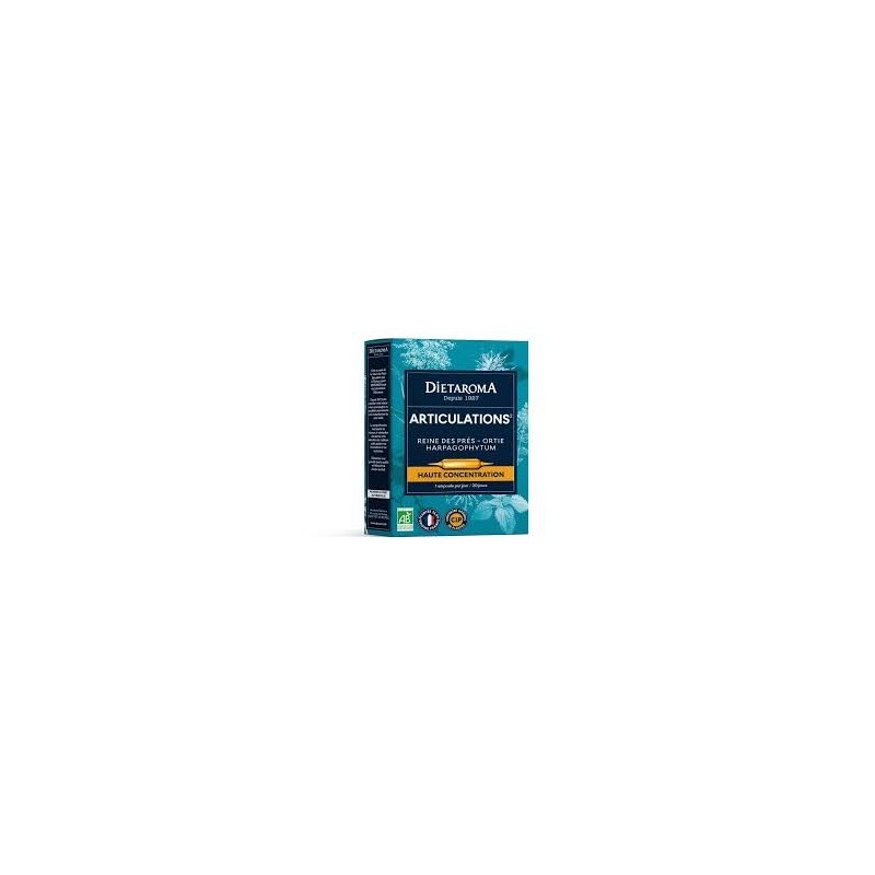 DT ARTICULATION ORTIE HARPAGOPHYTUM 20 AMP