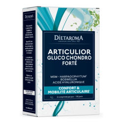 DT ARTICULIOR FORTE GLUCO CHANDRO 20CP