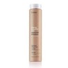 Erayba ABH AYURVEDIC SHAMP 250ML