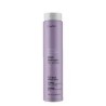 Erayba ABH SILVER SHAMP NO YELLOW 250ML