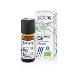 LADROME HE EUCALYPTUS RADIATA 10ML