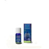 HE-ROMARIN-A-CAMPHRE-BIO