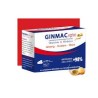 GINMAC FORT 20 Gélules PM