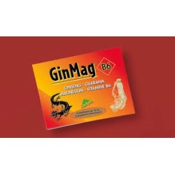 GINMAG B6 10 AMP