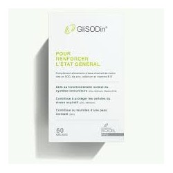 GLISODIN ETAT GENERAL 60GUELLULE