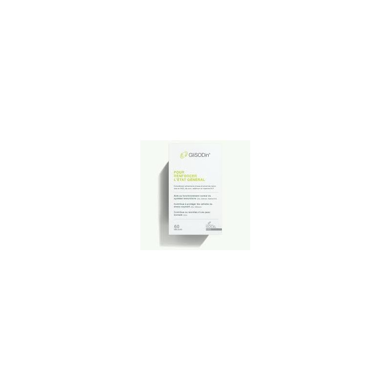 GLISODIN ETAT GENERAL 60GUELLULE