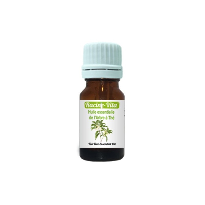 RACINE VITA HUILE ESSENTIELLE DE L'ARBRE A THÉ