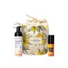 NOVEXPERT PROMO BOOSTER VIT.C+MOUSSE FLASH+TROUSSE