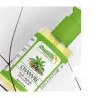 SANTE BIO HUILE CHANVRE 50 ML