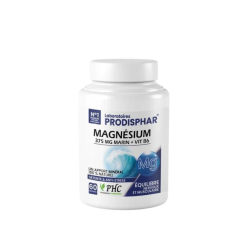 PRODISPHAR MAGNESIUM MARIN/ B6 60GEL