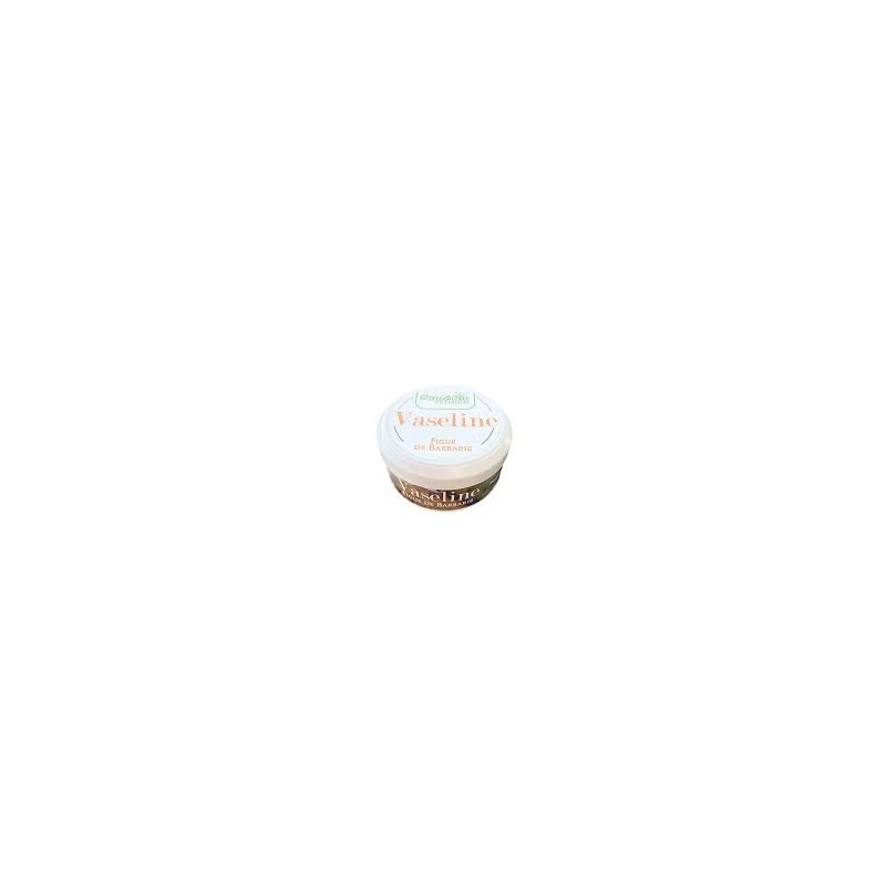 SANTE BIO VASELINE HUILE DE FIGUE DE BARBARIE 120ML