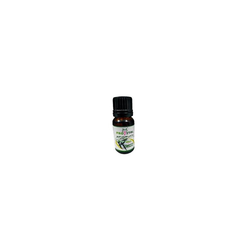 PRO-VITAL HUILE ESSENTIELLE  EUCALYPTUS 10 ml