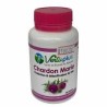Vertuplus Chardon Marie 90gel
