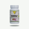 VIT'ALL+ RHODIOLA & SAFRAN 400MG 30GEL
