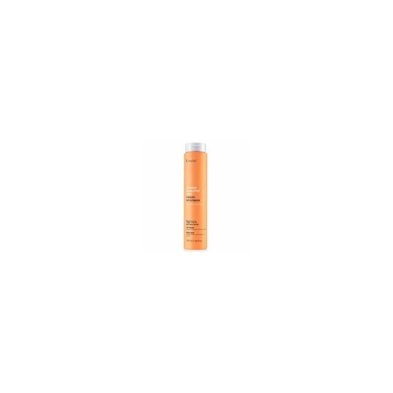 ERAYBA ABH REPAIR SHAMPOO 250ML