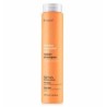ERAYBA ABH REPAIR SHAMPOO 250ML