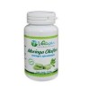 Vertuplus Moringa 100 Gelules