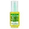 NATURESOIN HUILE DE BASILIC 50ML