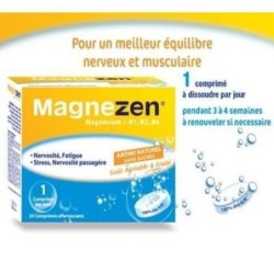 MAGNEZEN 12 CP EFF