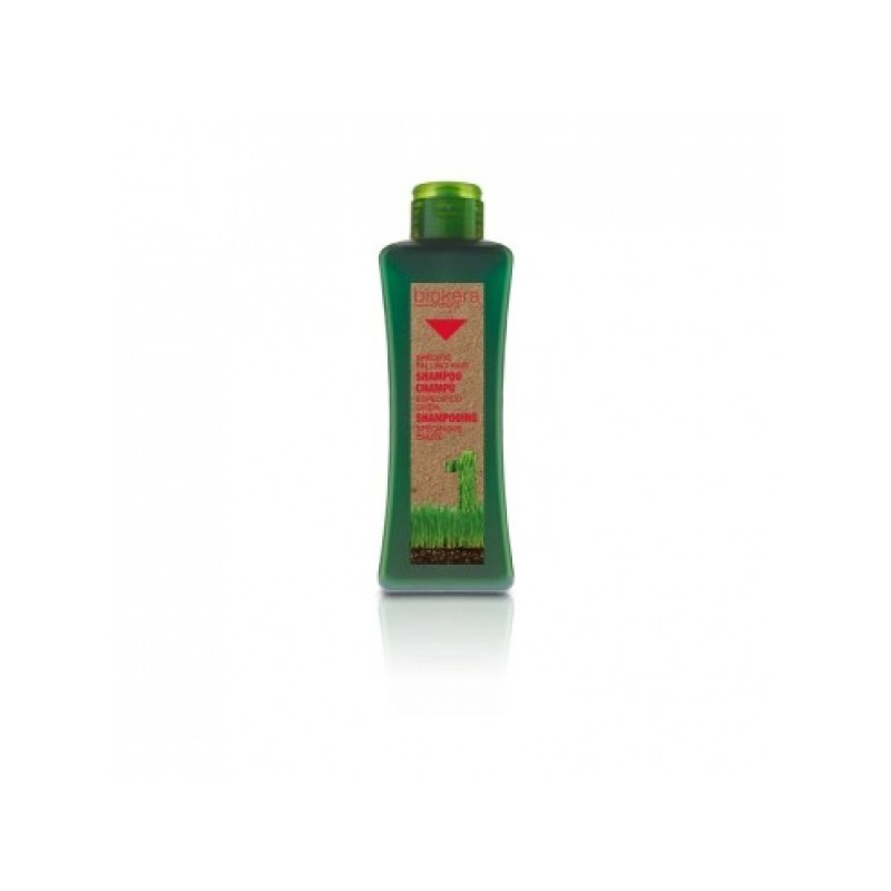BIOKE SH ANTI-CHUTE 300ML