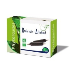 MGD RADIS NOIR ARTICHAUT FENOUIL 10AMPOULES
