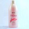 NIRVEL BIOTINA SHAMPOOING ANT-CHUTE 250ML