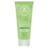 LAINO SHAMPOING DOUCHE THE VERT BIO 200ML