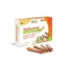 MGD GELINSENG 20 AMPOULES