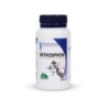 MGD ORTHOSIPHON 120 GEL