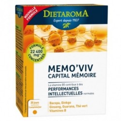 DT MEMO VIV+ MEMOIRE