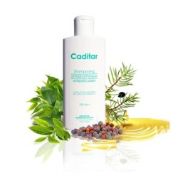 CADITAR SHAMPOING ANTI PELLICULAIRE 150ML