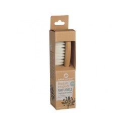 BB CONF BROSSE EN BOIS