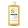 KLORANE SHAMPOING BEURRE DE MANGUE 400ML