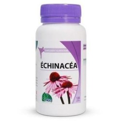 MGD ECHINACEA 120 GELULES