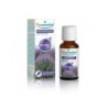 PURESSENTIEL HUILE POUR DIFFUSION PROVENCE 30ML