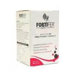 FORTIFER FER ACIDE FOLIQUE ET VITAMINE C 30 GELULES