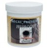 FENIOUX REPAS PROTE MINCEUR CAFÉ 350GR