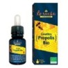DT PROPOLIS PURE GOUTTES 15ML