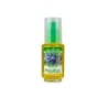 NATURESOIN HUILE DE BOURRACHE 50ML