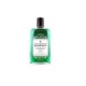BOTOT BAIN DE BOUCHE MENTHE PIN EUCALYPTUS 250ML