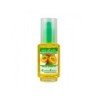 NATURESOIN HUILE DE NOYAUX D'ABRICOT 50ML