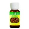 NATURESOIN HUILE ESSENTIELLE DE CANELLE 10ML