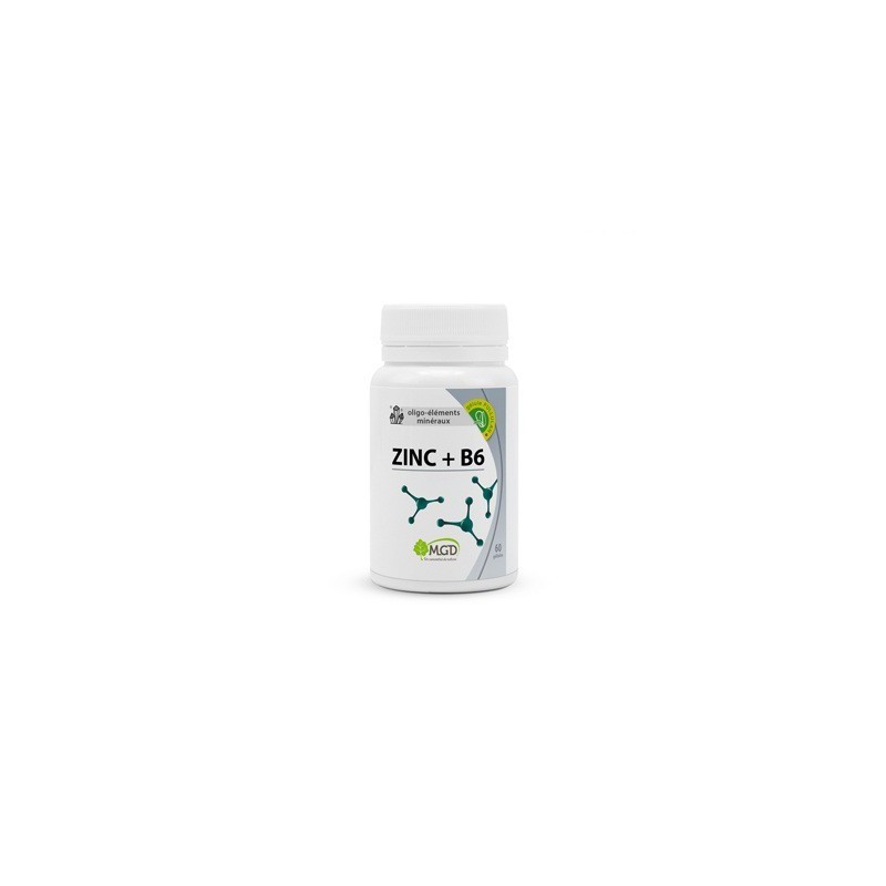 MGD ZINC+B6 60 GELULES