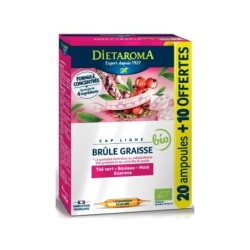 DT CAP LIGNE BRULE GRAISSE 20 AMP