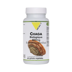 VIT'ALL+CHAGA 400 MG 60 GELULES