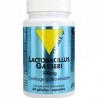 VIT'ALL+ LACTOBACILLUS GASSERI 100MG 60GEL