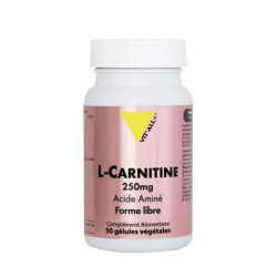 VIT'ALL+ L CARNITINE 250MG 50GEL