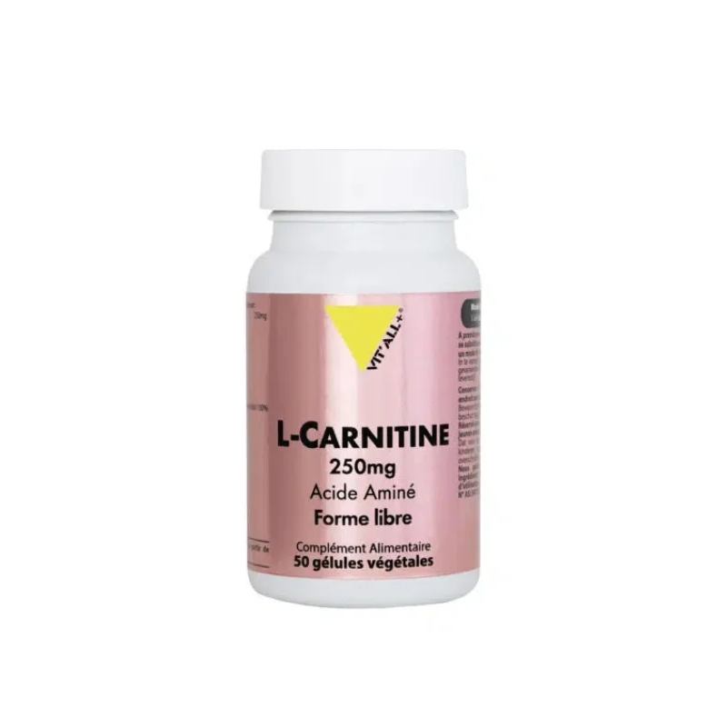 VIT'ALL+ L CARNITINE 250MG 50GEL