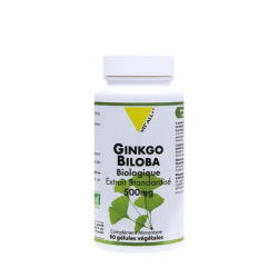 VIT'ALL+ GINKGO BILOBA 500MG 60GEL