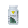 VIT'ALL+ DESMODIUM 200MG 100GEL